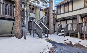 Switzerland Slopes #2125