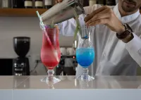 Prazer da Natureza Resort & Spa - bar