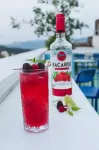 William Hotel Boutique de Diseño - bar