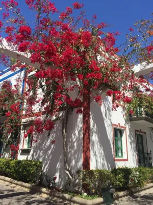 Marina Apartment with Garden by El Sirocco Hotels in Taurito