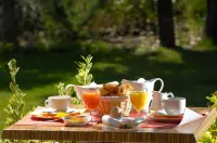 Logis la Bastide de Grignan Hotel & Restaurant "La Chênaie" - breakfast