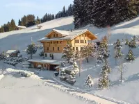Beautiful Modern Chalet in the Gstaad Region
