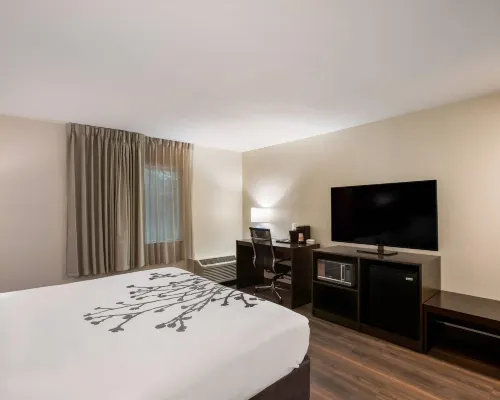 Sleep Inn Savannah Midtown Hotels near Memorial Stadium