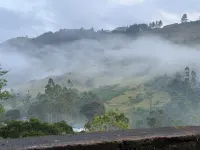 Watawala Tea Plantation Bungalow Hotels in Nawalapitiya