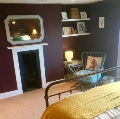 Stylish family cottage with stunning views of Brixham harbour. Dogs welcome.
