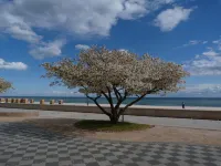 Apartment with large terrace only 150 m to the beach. Renovated in 2024 - شقق