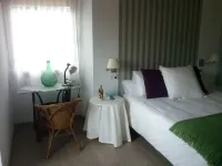 Beautiful views of the green nature from the inside Asturiana