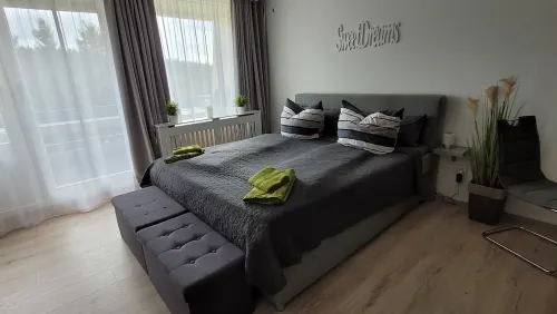 App with Air Conditioning, Pool, Garage for Car, Bike, Skis, AktivCard Bayer.Wald Optional