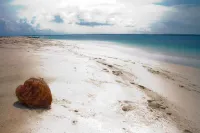 Las Casitas of Villa Paraiso / Beachfront with Private Pool