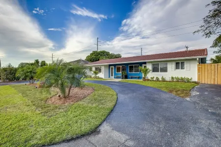 The Blue Agave of South Florida