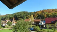 Fewo mit Balkon Direkt am Wald und Wanderweg, DG, Ruhe Pur, 2-4 Pers , Wlan Grat