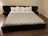 Cozy Cabin in the Woods