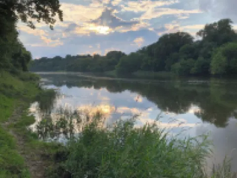 Large Private Fenced Yard with Guest Patio, Fire Pit and Surrounding Gardens. Hotels in Kitchener