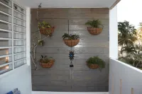 PLAYA AZUL1 2ND FLOOR BEACHFRONT LUX  DESIGNER CONDO.