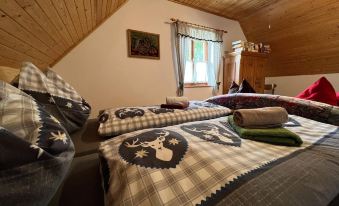 Alpine House in Prebl Near Klippitztörl Ski Area