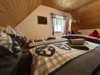 Alpine House in Prebl Near Klippitztörl Ski Area