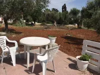 Lovely little house in Salento, in the countryside with garden and solarium