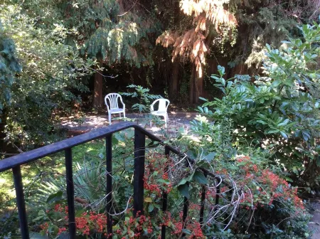 A Large comfy Room in Bromley Отели рядом с достопримечательностью «Crystal Palace Museum»