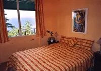 Villa with a stunning view of the Mediterranean Sea & sea alps, pets welcome.
