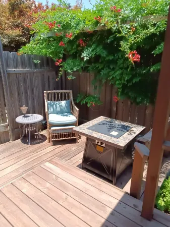 Zannabella BNB Scenic Sunrise Tiny Cabin includes gourmet breakfast