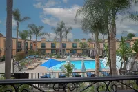 The Cove Hotel - Swimmingpools