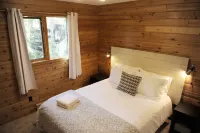 Mid Century Mountain Modern Cabin