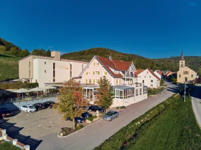 Landhotel Wilder Mann فنادق في Stuhlingen
