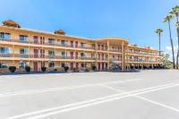 كواليتي إن إسكونديدو سان دييجو نورث كونتي فنادق في إسكونديدو