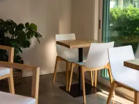 棕櫚庭院酒店 鄰近摩戴斯基公園（Modesky Park）的酒店