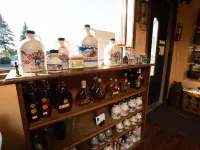Blue Spruce Motel Hotels in Massena