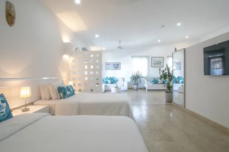 El Cactus Luxury Apartments in Historic Center