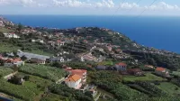 Beautiful Villa Apartment - Homestays