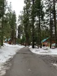 The Cabin on Kinglet-walk to the Village and short drive to the lake Hotels in Shaver Lake
