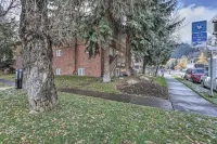 아스펜 콘도, 산 전망 및 스키 접근!