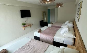 Hotel Boutique Cacao Cozumel