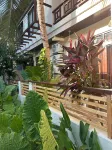 Bougainvillea Inn - Maldives Hotels in Vashugiri