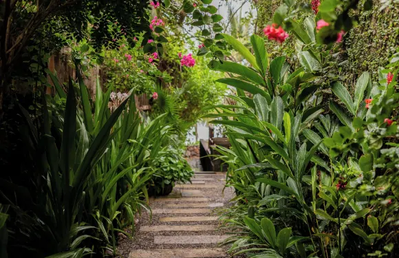 洛塞雷諾海濱之家