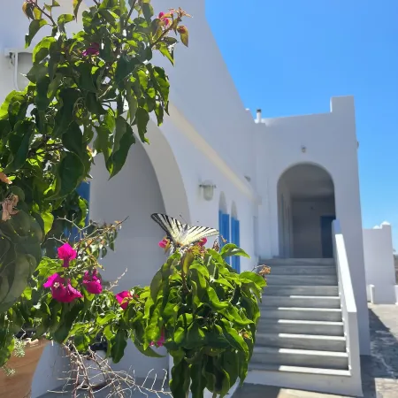 Hotel Petradi Ξενοδοχεία στην πόλη Ίος