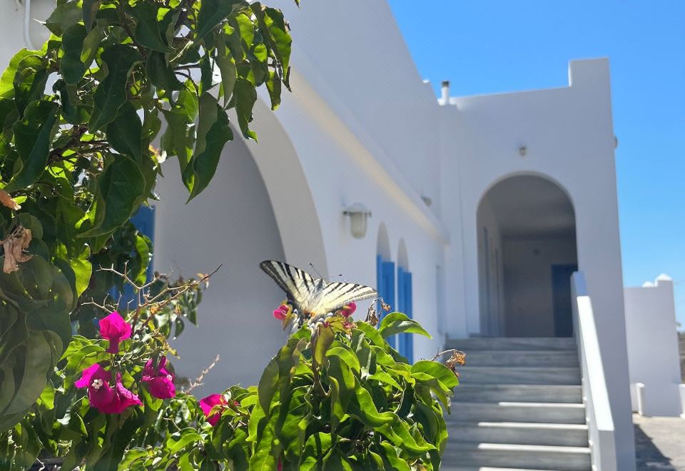 Hotel Petradi, Exterior, Hotel Exterior