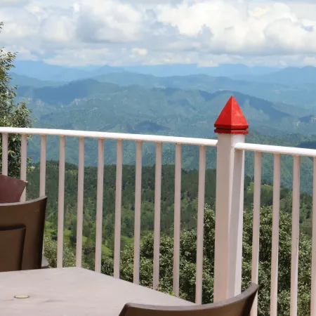 Essence of Nature, Ranikhet