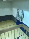 Family Favorite with Indoor Basketball Court