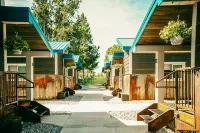 Blue Buffalo Resort Hotel a 
