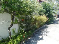 Cabedelo Seaside Guesthouse