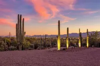 Classy Tucson Escape w/ Fire Pit on 5 Acres! - Pet friendly