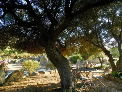 B&B Su Donnigheddu Hotels near Cala Sabina
