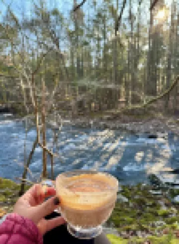 The Creek House - Secluded Stay 10min to Woodstock & Saugerties