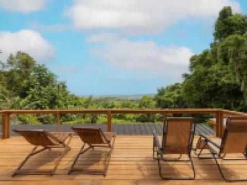 Coyaba House- Private Pool Oasis w/ Ocean View Near The Rainforest & Beaches Hotels in Zarzal