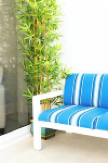 Tropical Treasure at the West