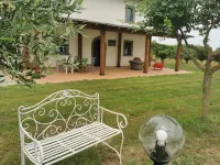 Villa Domus Nirale, 4 km from Civita di Bagnoregio, panorama of Lake Bolsena.