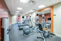 Hilton Garden Inn Richmond Airport - Gym